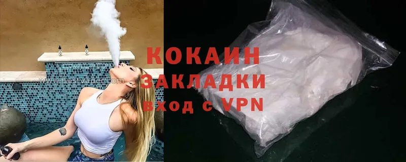 Cocaine FishScale  где купить наркоту  Заречный 