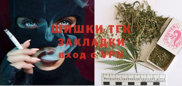 стафф Вязьма